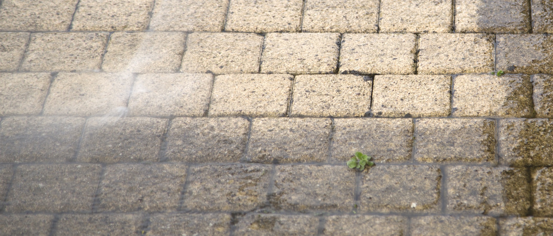 flagging and patios SE5