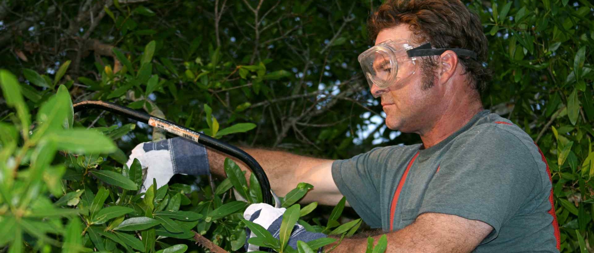 garden clearance SE5